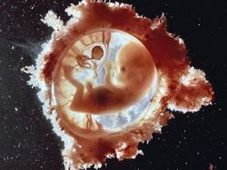 Foto Janin Dalam Kandungan Bikin Takjub Akan Kebesaran Allah