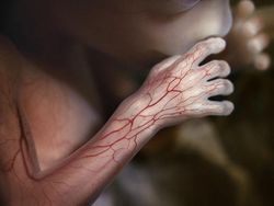 Foto Janin Dalam Kandungan Bikin Takjub Akan Kebesaran Allah