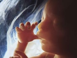 Foto Janin Dalam Kandungan Bikin Takjub Akan Kebesaran Allah