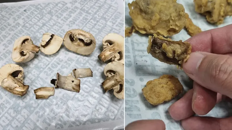 Jijik! Dikira Jamur Krispi, Pelanggan Hampir Menelan Kecoak Goreng