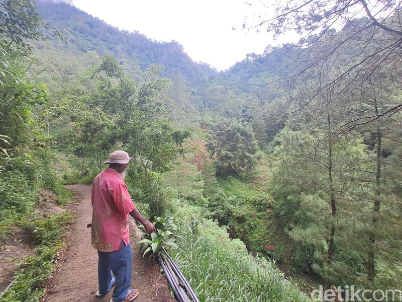 Mbah Sadiman saat di Bukit Gendol, Desa Geneng, Kecamatan Bulukerto, Wonogiri. Foto diunggah Kamis (4/4/2024).