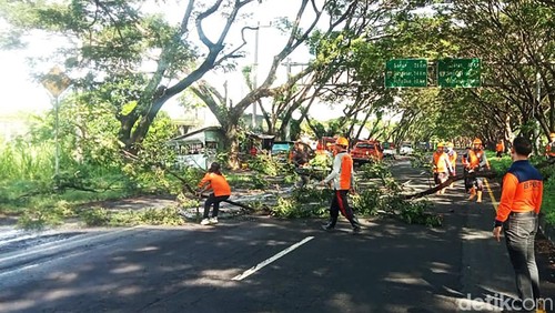 Petugas memangkas pohon perindang di jalur mudik Jalan Bypass Ida Bagus Mantra, Klungkung, Bali.