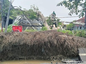 Pohon Berdiameter 1 Meter Timpa Kafe di Denpasar, Pemilik Rugi Ratusan Juta