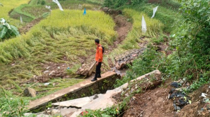 Sawah warga di Cigombong, Bogor rusak akibat tanah longsor.