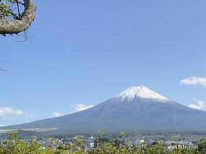 Mengagumi Keindahan Gunung Fuji dalam Sehari