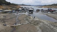 Namun kini waduk itu mengering. (AP Photo/Fredy Amariles)  