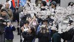Melihat Sakura Bermekaran di Tokyo yang Bikin Hati Adem