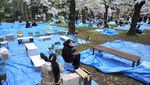Melihat Sakura Bermekaran di Tokyo yang Bikin Hati Adem