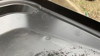 Niat hati ingin menghangatkan bagel di dalam microwave, yang keluar malah bagel gosong yang tak kalah kocak. Foto: Pool/Site