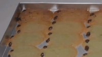 Kue lebaran gagal satu ini awalnya berupa kue berbentuk ulat. Namun, akhirnya meluber hingga bentuknya mirip katak. Taunya malah jadi kue kodok, keterangan dalam foto. Foto: TikTok