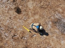 Melihat Proses Pembersihan Ranjau Darat Sisa Perang Iran-Irak