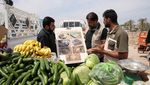 Melihat Proses Pembersihan Ranjau Darat Sisa Perang Iran-Irak