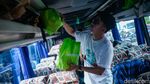 Mudik Asyik Transmedia Berangkatkan 531 Peserta