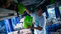 Ada 12 bus eksekutif yang disediakan dengan tujuan hampir di seluruh Pulau Jawa. 