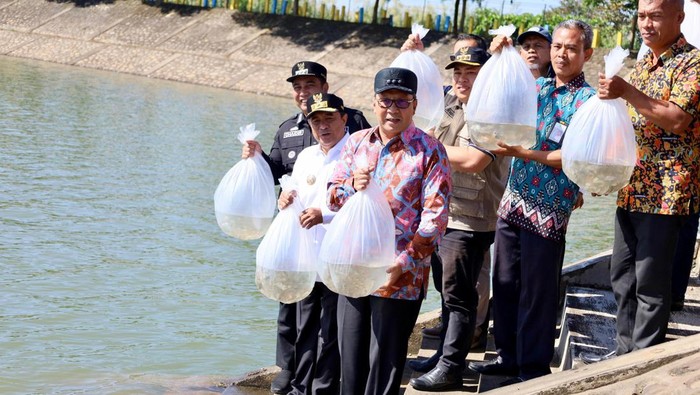 Pelepasan 10 ribu benih ikan air tawar di Waduk Nipa-nipa.