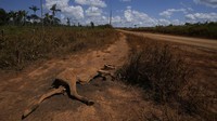 Pesatnya pembangunan sistem jalan ini telah menimbulkan pertanyaan serius tentang pelestarian ekologi Hutan Hujan Amazon yang rapuh dan populasi penduduk asli di kawasan tersebut.  