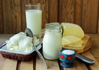 5 Perbedaan Yoghurt dan Greek Yoghurt, Mana Lebih Sehat?