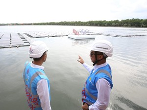 Pembangunan PLTS 500 MW Proyek Hijaunesia Dikebut, Begini Progresnya