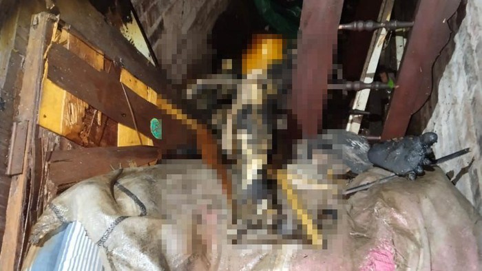 pria tewas terpanggang di atap rumahnya, Desa Tulung, Kedamean, Gresik. Diduga pria yang bernama Slamet itu tewas bakar diri.