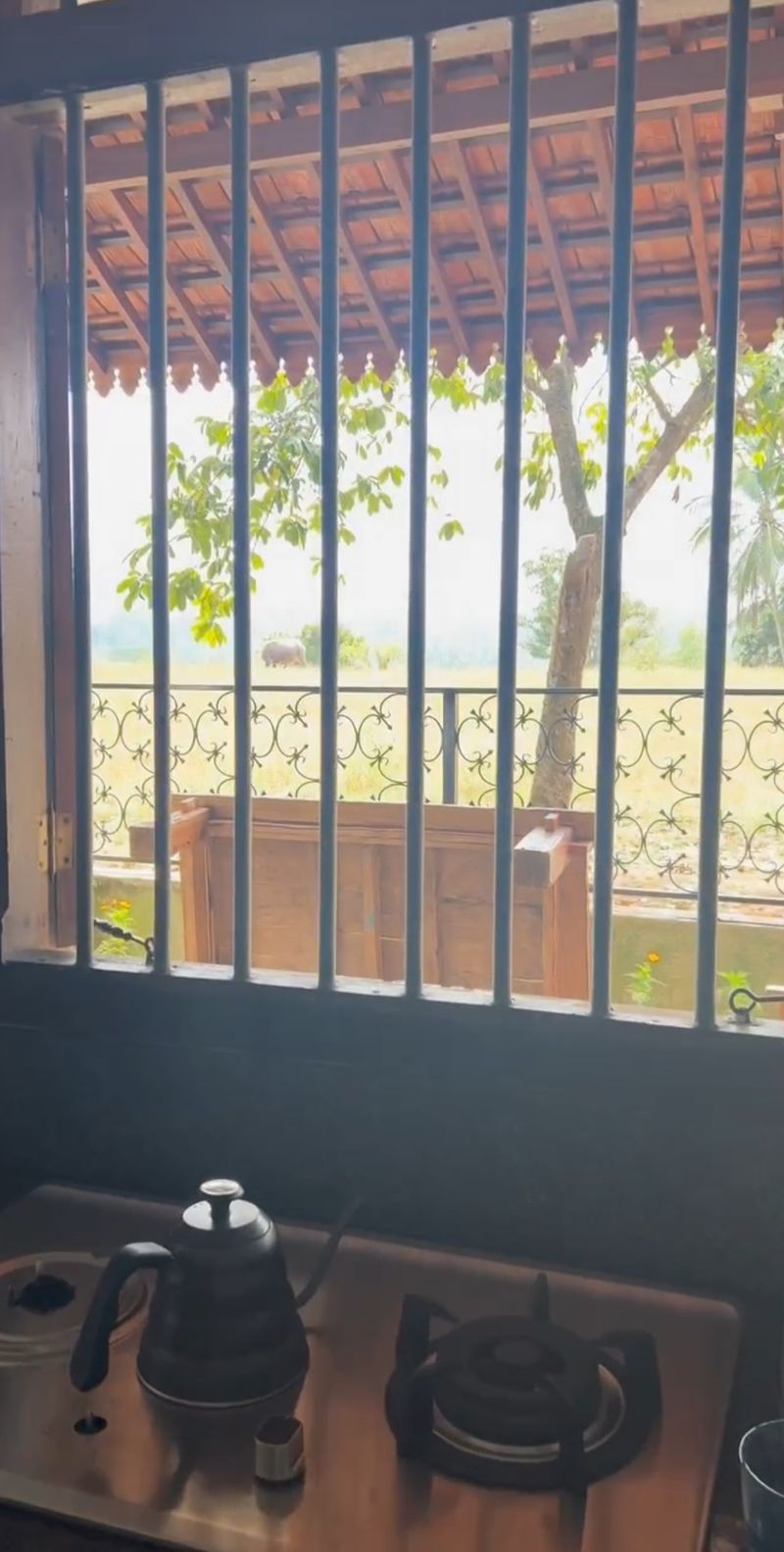 Rumah Budi Doremi desa