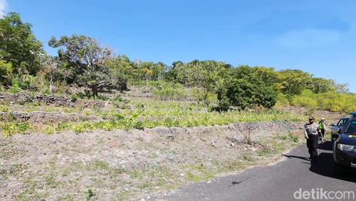 Salah satu aset rampasan eks Bupati Klungkung I Wayan Candra di Desa Bunga Mekar, Kecamatan Nusa Penida, yang dilelang Kejari Klungkung. (I Putu Budikrista Artawan/detikBali)