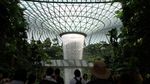 Terpesona Air Terjun di Bandara Jewel Changi Singapura