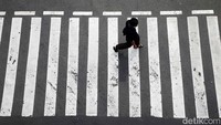 Seorang warga menyeberang di jalan yang arus lalu lintasnya lancar. 