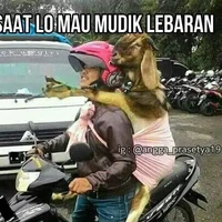 Nggak tega rasanya meninggalkan hewan peliharaan di rumah sendirian. Kalau di bawa di motor gini kan jadi berasa kayak ada pacar yang meluk dari belakang. Foto: 1cak.com