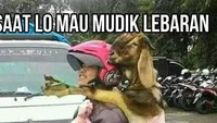Biar tak sendiri mudik dan ada yang meluk dari belakang sepanjang perjalanan. (Foto: 1cak.com)