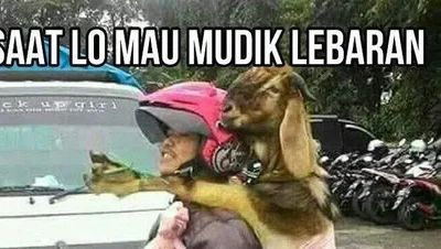 8 Meme Mudik Lebaran 2024 yang Bikin Ngakak, Jadi Penghibur di Jalan