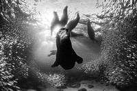 Monochrome Photography Awards 2023