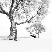 Monochrome Photography Awards 2023