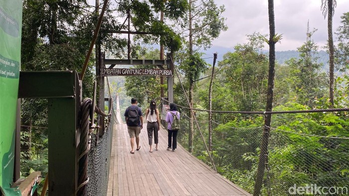 Potret Wahana Wisata Keranjang Sultan di Situ Gunung Sukabumi yang Disorot Will Smith