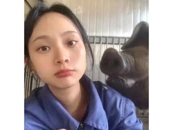 Kisah Wanita Tinggalkan PNS untuk Jadi Peternak Babi: Manusia Bikin Stres