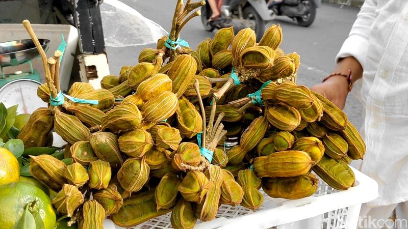 Buah salju nan mulai dijual pedagang buah di Kintamani, Bangli, Bali, diminati pembeli, Minggu  (7/4/2024). (Agus Eka/detikBali)