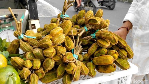 Buah salju yang mulai dijual pedagang buah di Kintamani, Bangli, Bali, diminati pembeli, Minggu  (7/4/2024). (Agus Eka/detikBali)