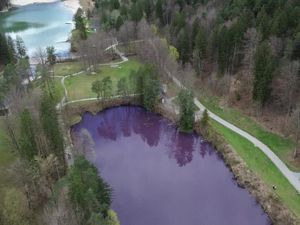 Penampakan Danau Ungu di Jerman yang Disorot Wisatawan