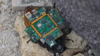 Serangga itu bisa masuk dan keluar dari tempat-tempat kecil dengan cepat untuk menemukan orang yang terperangkap di bawah puing-puing. Jika ditemukan, ia akan memberi tahu orang yang mengontrolnya. Orang tersebut kemudian mengirim informasi dan lokasinya kepada layanan darurat untuk memulai misi penyelamatan. Foto: The Sun/ The Strait Times