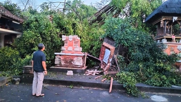 Kondisi Pelinggih di Pura Batur Panthi, Denpasar, Bali yang tertimpa pohon beringin pada Minggu (7/4/2024). (Dok. Koordinator Tagana Denpasar I Made Tara)