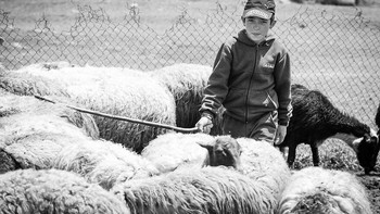 Seiring dengan peringatan Hari Menentang Pekerja Anak Sedunia pada tanggal 12 Juni. Foto: Hana Pešková/Boredpanda