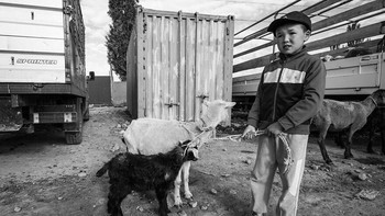 foto-foto ini menjadi seruan keras untuk bertindak, mendesak masyarakat untuk menghadapi kenyataan pahit yang merampas impian masa kecil anak-anak yang tak terhitung jumlahnya. Foto: Hana Pešková/Boredpanda