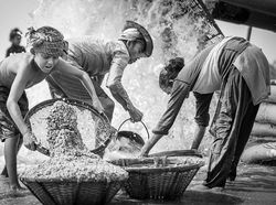 Kumpulan Potret Menohok Tampilkan Pekerja Anak di Bawah Umur
