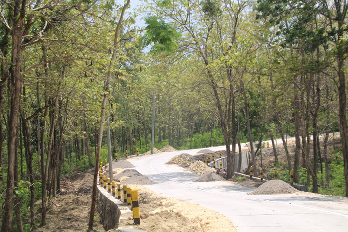 Penampakan ruas jalan Randublatung-Getas.