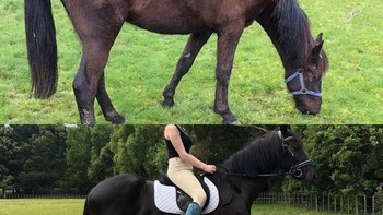 Ini adalah Hector pada hari kami membawanya ke rumah pertama kali pada 2017. Dan foto di bawahnya adalah Hector setahun kemudian pada 2018. (Foto: Brightside)