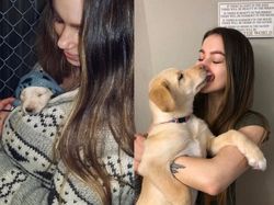 Mengharukan! Potret Perubahan Hewan Sebelum dan Setelah Diadopsi