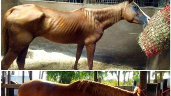 Gadisku, Charity dalam waktu 6 bulan. Perubahan yang diperlihatkannya masih membuatku tidak percaya. (Foto: Brightside)