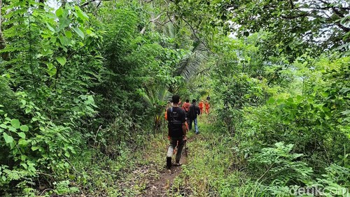 Tim SAR masih mencari nenek 60 tahun yang hilang saat ke kebun di Sikka, NTT.