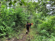 Terjebak Hujan Saat ke Kebun, Nenek 60 Tahun di Sikka Hilang