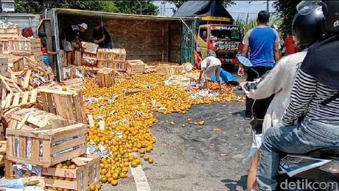 truk muat jeruk terguling di situbondo
