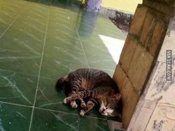 Jawaban Pertanyaan Lebaran ke Mana?, Mana yang Kamu Banget?